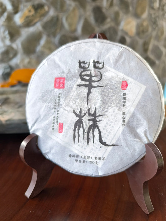 Ancient Tree Poesy Pu'erh